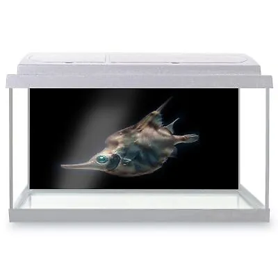 Fish Tank Background Deep Sea Fish Marine Life #50738 • £14.99