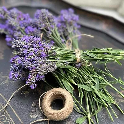 2 X Lavender Hidcote Plants In 13cm Pots - Lavandula English Lavender Bush • £16.99