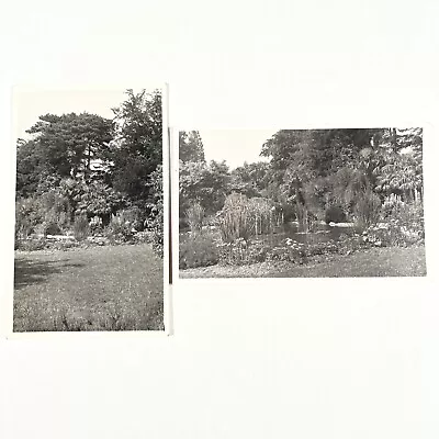 Cerne Abbas Rest Home Garden Vintage Real Photo Postcard X2 Cards Un Posted • £4.57