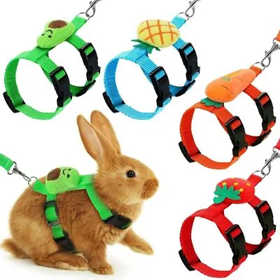 Rabbit Harness And Leash Set Adjustable For Animals Ferrets Piggies Hedgehogs • £5.73