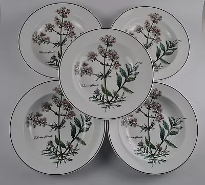 Villeroy & Boch 8 5/8 Inch White Porcelain 'Botanica' Rimmed Bowls Set Of 5 • $88