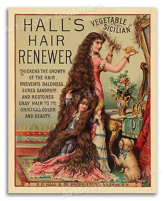 Hall's Hair Renewer - 1880s Vintage Patent Medicine Poster - 24x30 • $23.95