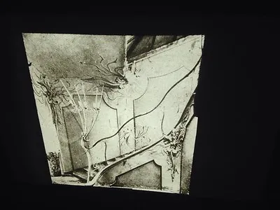 August Endell: Elvira Munich -German Architecture Art Nouveau 35mm Slide • $10.02
