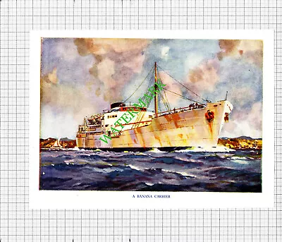Banana Carrier Ship / Union Castle Liner  - C.1948 Print • £10.87