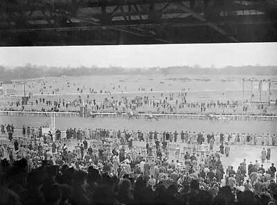 Horse Racing Racegoers Watch The Finish Of The Spelthorne Plate W- Old Photo • $9