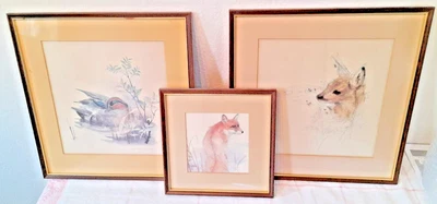 £20 • Buy Set Of 3 Mads Stage's 'Wild Animals' Artworks
