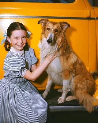 Margaret O'Brien Vivid Color 1946 Pose The Courage Of Lassie 8x10 Photo • $14.99