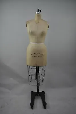 Wolf Vintage Dress Form Mannequin Model 1982 Adult Size 12 • $999