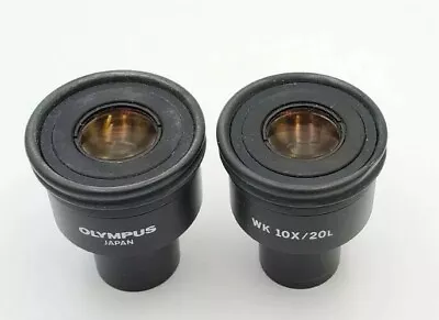 Lot Of 2 Olympus WK 10x/20L 10x Microscope Eyepieces Eye Piece Oculars Pair • $80.75