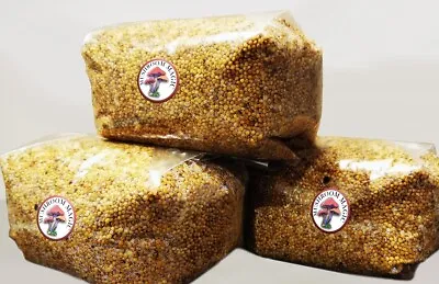 1kg Sterilised Millet For Mushroom Spawn - Alternative To Rye Grain • £15.99