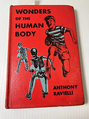 Vintage 1962 Wonders Of The Human Body Anthony Ravielli Illustrated Hc Book • $20