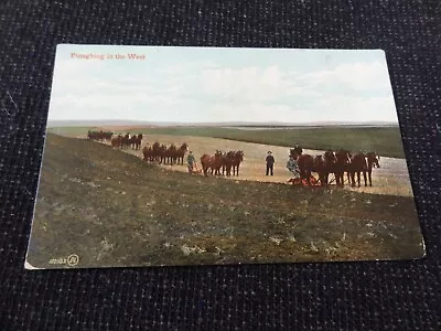 Social History Postcard Farming Horses Ploughing - 82562 • £1.50