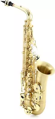 Selmer SAS711 Professional Alto Saxophone - Matte • $3374.10