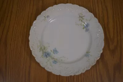 AUSTRIAN PORCELAIN PLATE VINTAGE HABSBURG CHINA  Lt. Blue FLOWERS 8 1/2” • $25