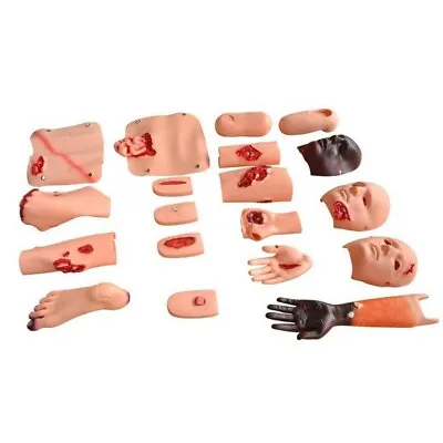 Trauma Accessories Training Dummy Medical Science Education Patient Care Manikin • $344.89