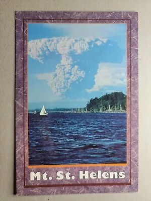 Postcard - Mt St. Helens Washington - Unposted • $2.50