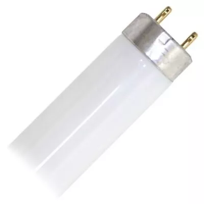 T8 Straight Fluorescent Tube Light Bulb - 38W - 5000K - SYLVANIA-21880 • $16.04