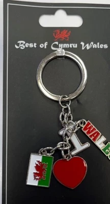 £4.99 • Buy Welsh I Love Wales Charm Keyring Key Chain Souvenir Wales Charm Key Ring