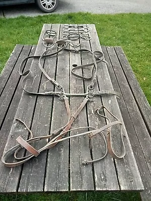 Job Lot Vintage Horse Tack Bit Harness Stirrups Wilson Driving Bit Sweet Iron  • £15