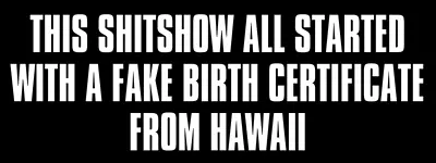 3x8 Inch This Shitshow Fake Birth Certificate Bumper Sticker (Trump Anti Obama) • $9