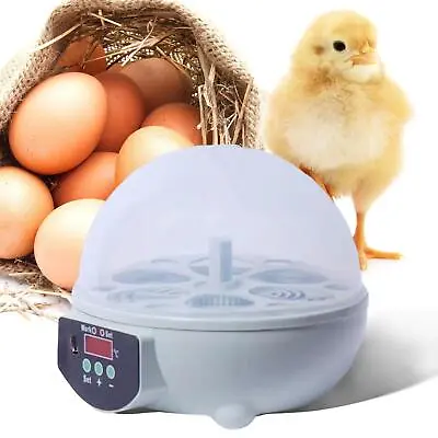 Automatic Egg Incubator Egg Turner Tray Egg Candler Hatching For Quail Birds • £24.32
