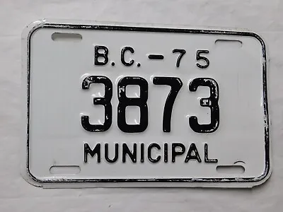 British Columbia Licence Plate Municipal Government 1975 Vintage Canada 3873 • $10.90