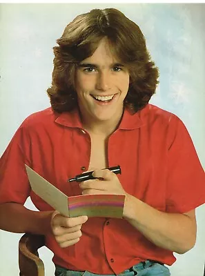 Matt Dillon - 11  X 8  Teen Magazine Pinup Mini-Poster Clipping - Year 1980 • $11.61