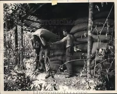 1966 Press Photo U.S. Soldiers Carry Bags Of Rice From Captured Viet Cong's Shed • $19.99
