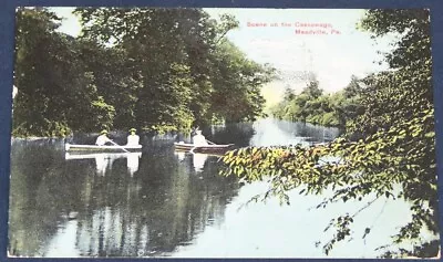 Scene On The Cassewago Meadville PA Postcard  • $6.50