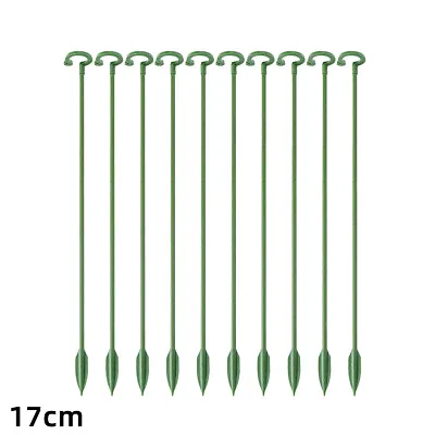 10X Plant Support Stakes Garden Flower Support Single Stem Plant Support Stakes • £3.72