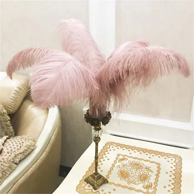 Large Quality Ostrich Feathers Wedding Ornament Costume Craft Long Plume 45-50cm • £4.99