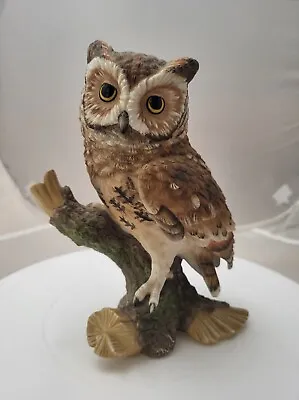 Vtg 1988 Eyes Of The Night Screech Owl Porcelain Maruri USA Studio Design 7” • $38.99