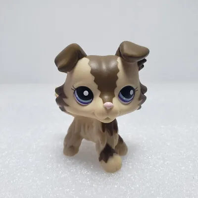 LPS Toys Pet Shop #2210 Collie Dog Cream Tan Brown With Blue Eyes Rare Puppy • £10.79