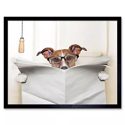 Photograph Composition Jack Russell Newspaper Toilet Funny 12X16 Framed Print • £26.99