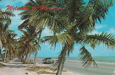 1980 USA Postcard  Welcome To Florida  From Miami To Edinburgh • £0.80