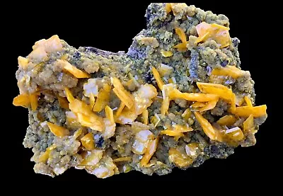 Cabinet-sized WULFENITE With MIMETITE San Francisco Mine Mexico • $13.50