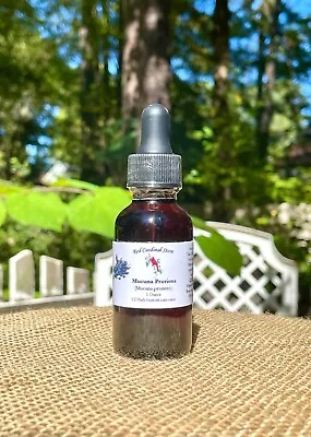 Mucuna (Mucuna Pruriens) Tincture Herb Extract Double Extraction • $12