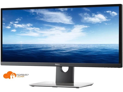 $269.10 • Buy Dell U2917W UltraSharp 29  Ultrawide Monitor 2560x1080 IPS LED-Backlit USB HDMI