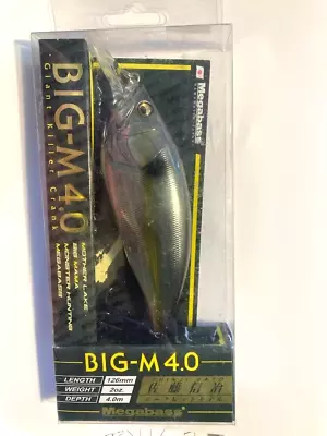 New MEGABASS LURES 5  BIG-M 4.0 Giant Killer 2oz CRANKBAIT Jukucho Shad $28 • $20