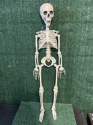 Life Size 3ft Posable Halloween Human Skeleton Decor Indoor/Outdoor Horror Prop. • $25