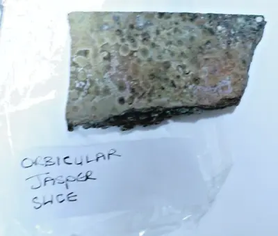 Orbicular Jasper Slice 210g • £12.99