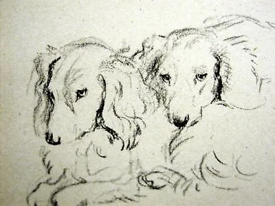 Lucy Dawson TWO SWEET DACHSHUNDS 1946 Dog Art Print Matted • $16