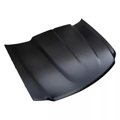 For Ford F-150 1997-2004 Hood Panel | Steel | Cowl Induction Style | FO1230212 • $1180.78