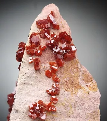 VANADINITE - Red Crystals On Matrix - MOROCCO /bo310 • $14.90