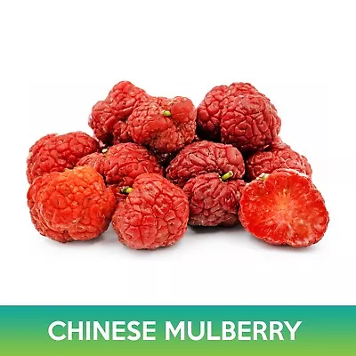 Chinese Mulberry Seeds Cudrania Tricuspidata • $2.49