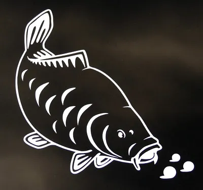 FEEDING MIRROR CARP White Exterior Vinyl Fishing Car Decal / Sticker | FREE P&p • £2.99