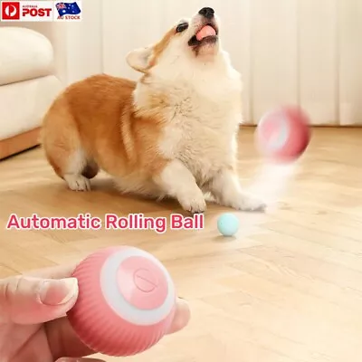 AU Cat Dog Toy Automatic Rolling Ball Electric Pet Self-moving Kitten Toys Balls • $29.66