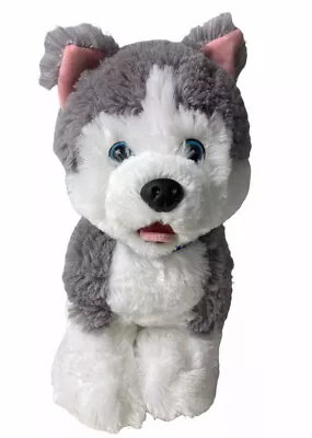 BUILD-A-BEAR Husky Plush Dog Gray & White Blue Bone Collar 12  Tall 12  Length • $8.73