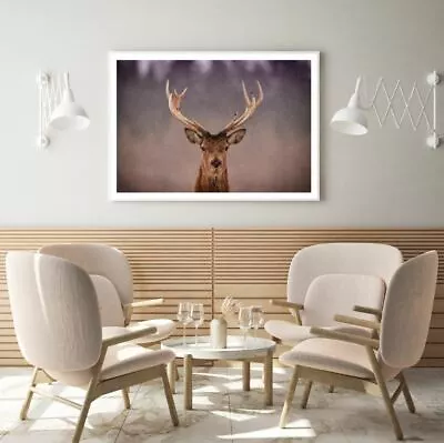 Deer Portrait Photograph Print Premium Poster High Quality Choose Sizes • $24.07