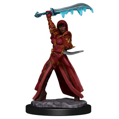 $20.95 • Buy Dungeons & Dragons Premium Female Human Rouge Pre-Painted Figure